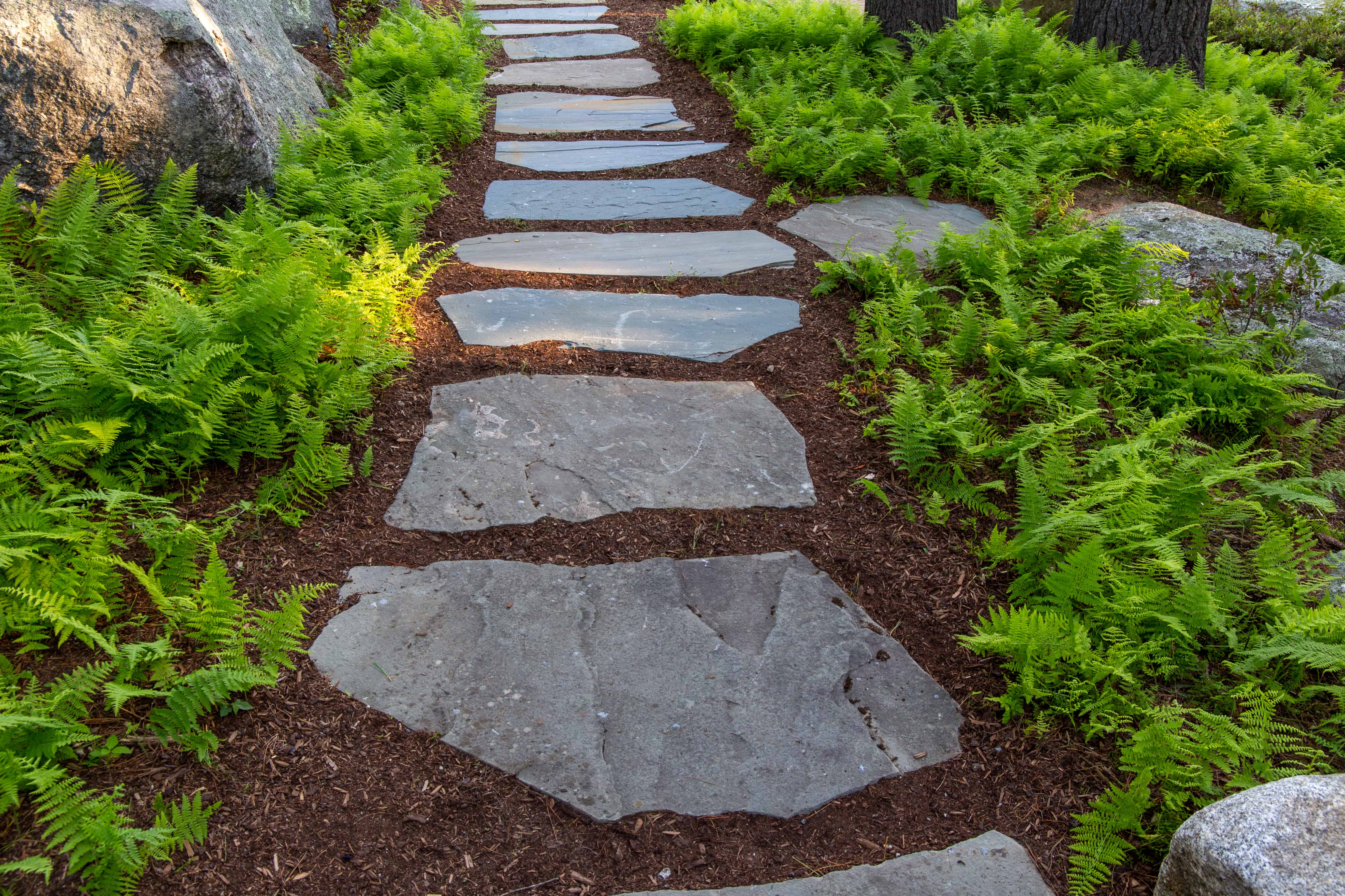 Bluestone Irregular Oversized Walkway and Patio Stone