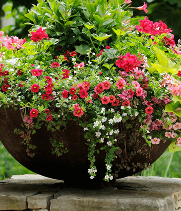 How to Design a Spring Container