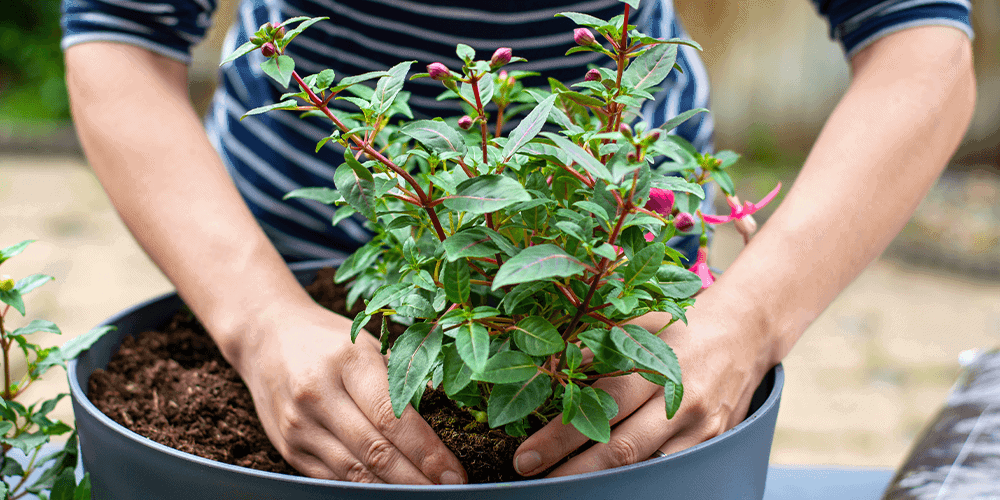 Stephens landscaping garden center-planting spring planter