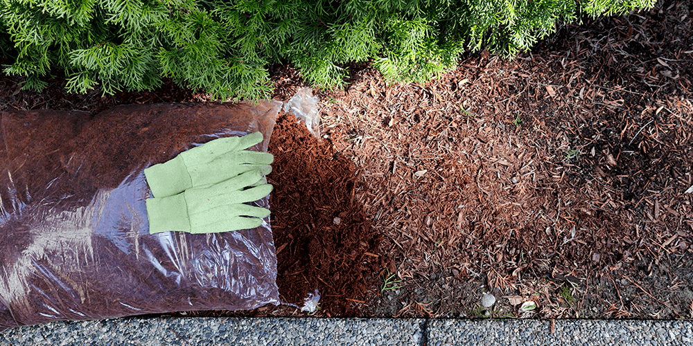 SL Garden Center-adding mulch to garden bed