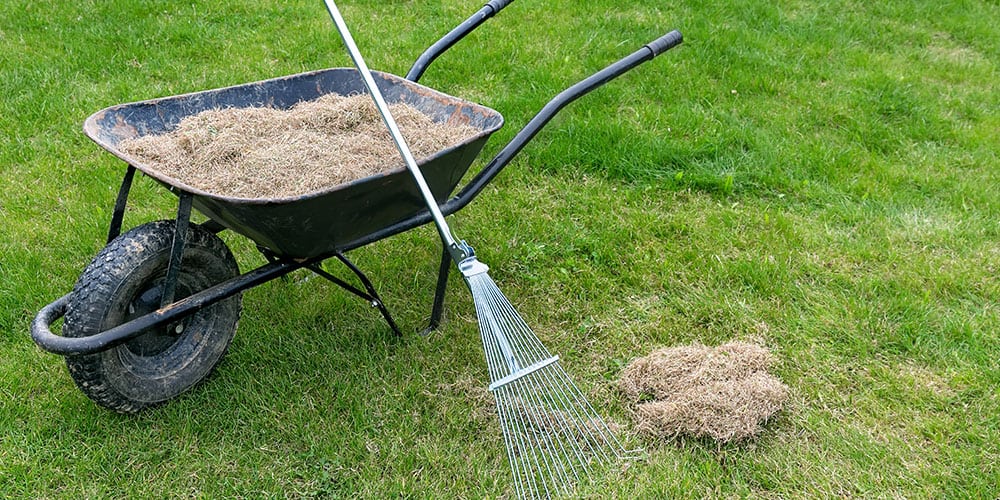 Stephens Landscaping Garden Center -raking thatch