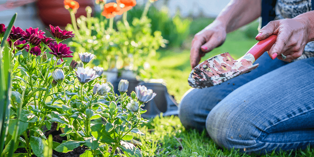 Stephens Landscaping Garden Center - How to Plan Your Flower Beds -planting in the garden