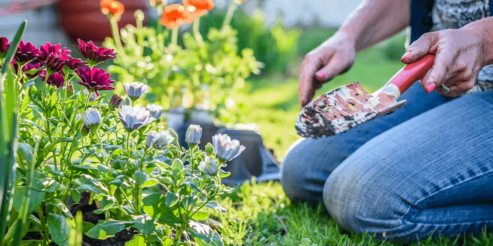 Stephens Landscaping Garden Center - How to Plan Your Flower Beds -planting in the garden