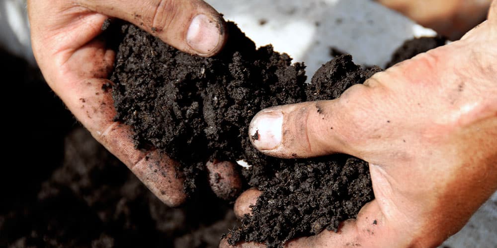 Stephens Landscaping Garden Center - How well do you know your soil-soil in hands