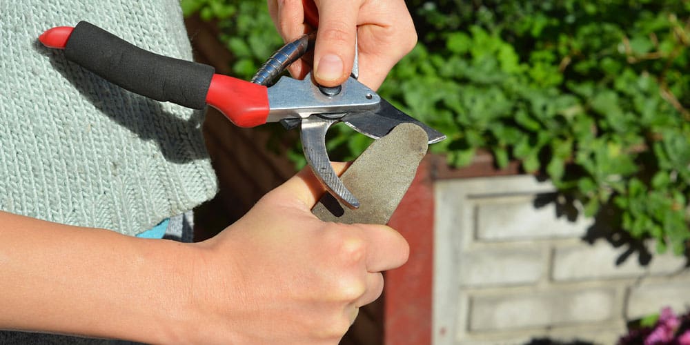 Stephens Landscaping Garden Center-Moultonborough-sharpening pruning shears