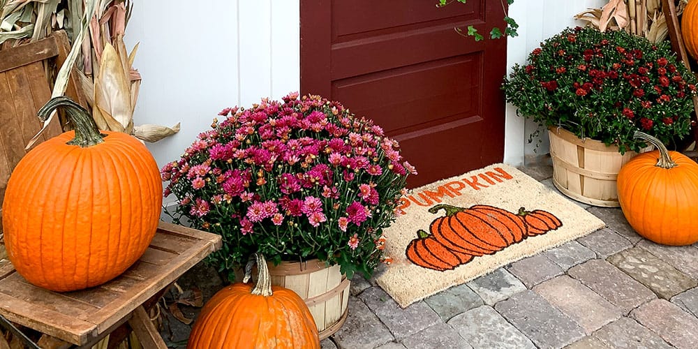 Stephens Landscaping Garden Center-Moultonborough-pumpkin welcome mat
