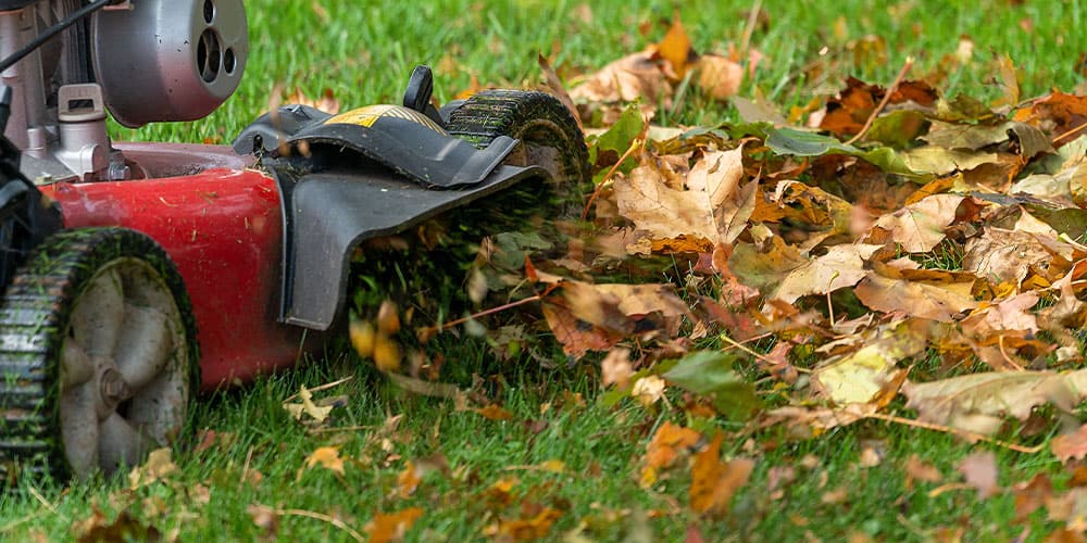 Stephens Landscaping Garden Center-Moultonborough-mulching leaves in grass