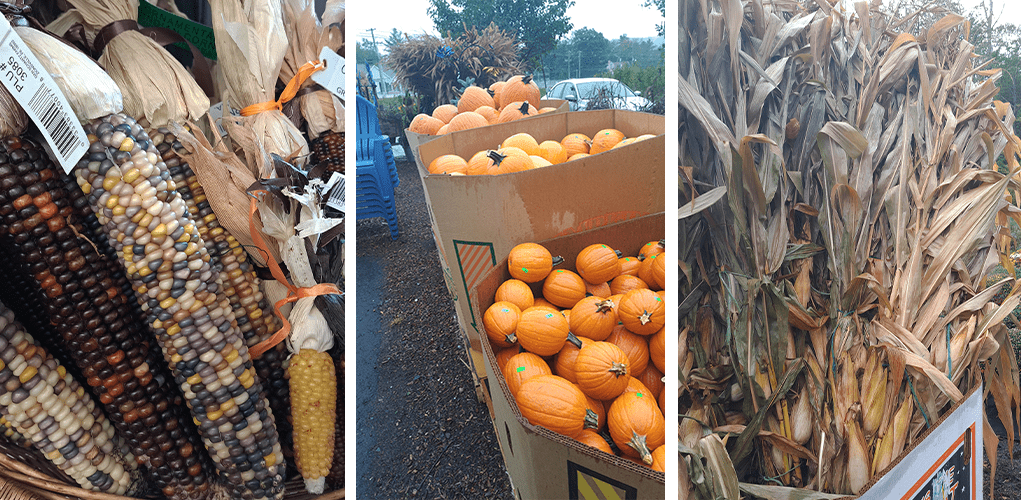 Stephens Landscaping Garden Center-Moultonborough-Front Porch Autumn Decor Pieces