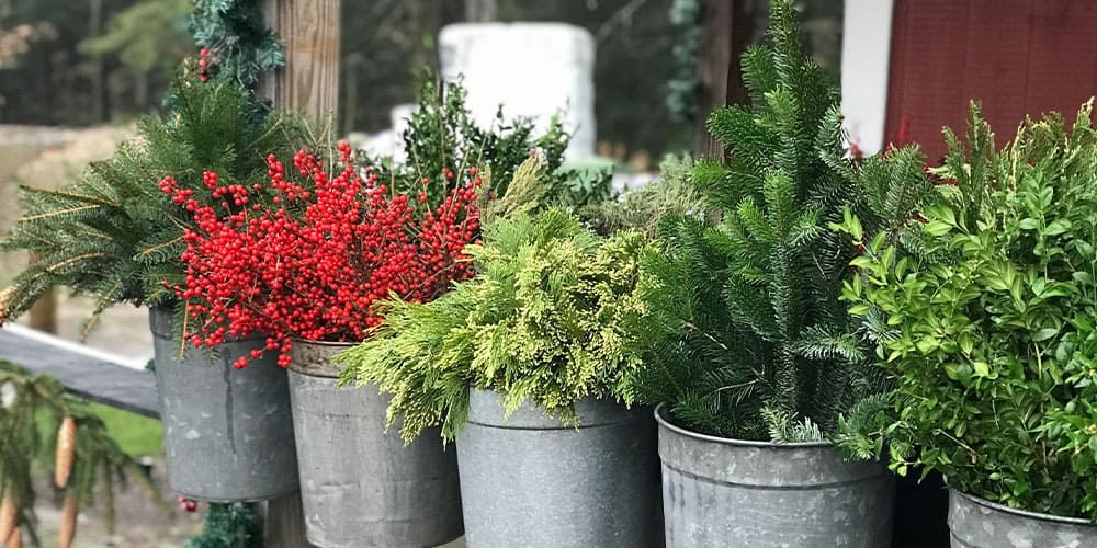 Stephens Landscaping Garden Center-Moultonborough-Holiday Porch Pot Designs-assorted evergreen cuttings