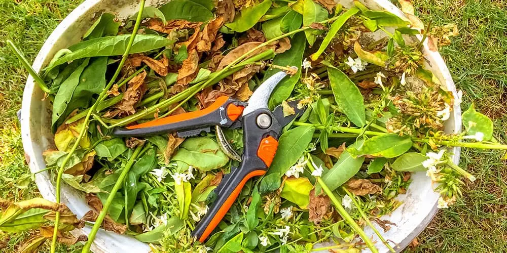 Stephens Landscaping Garden Center-Moultonborough-A Guide to Fall Pruning-pruning shears for perennial plants
