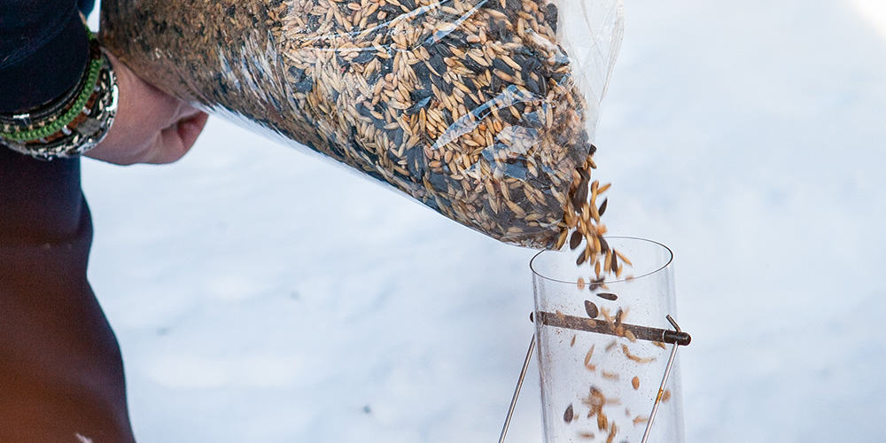 Stephens Landscaping Garden Center-Moultonborough-How to Attract Birds to Garden in Winter--refilling bird feeder