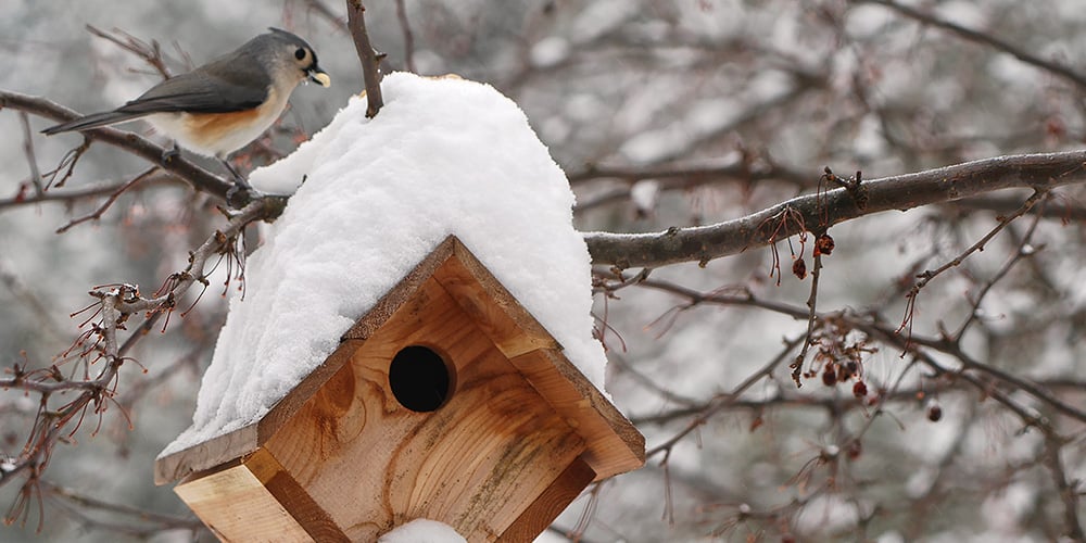Stephens Landscaping Garden Center-Moultonborough-How to Attract Birds to Garden in Winter--winter birdhouse
