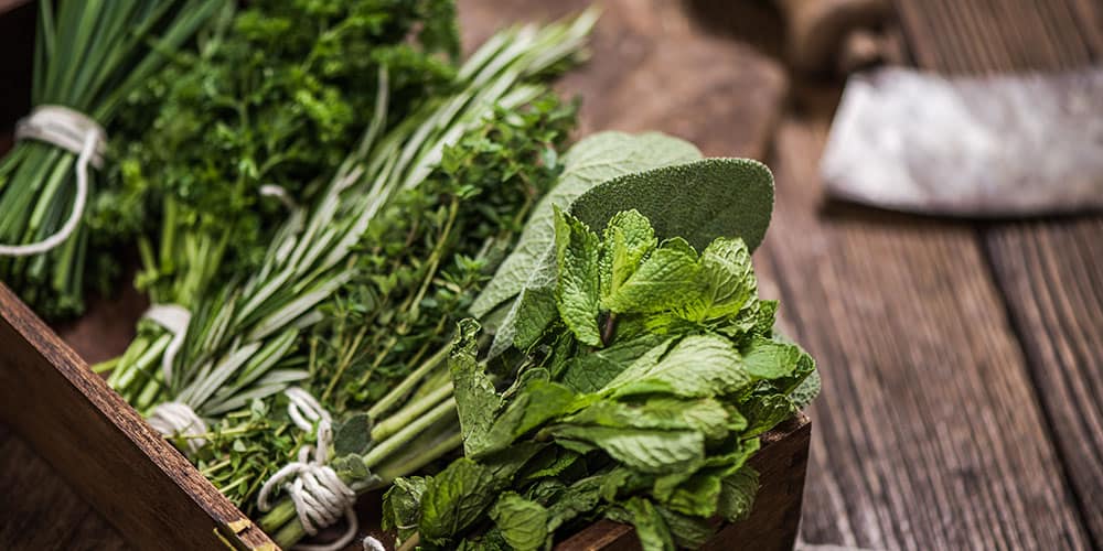 Stephens Landscaping Garden Center-New Hampshire-How to Grow a Garnish Garden in Your Kitchen-assorted dried herbs