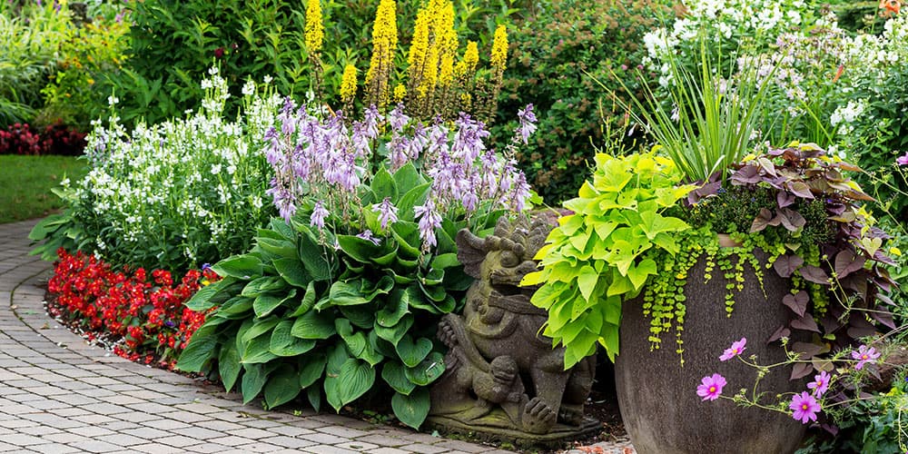 SL Garden Center-Moultonborough-Creative Resolutions for Your Garden in 2023-healthy flowering garden