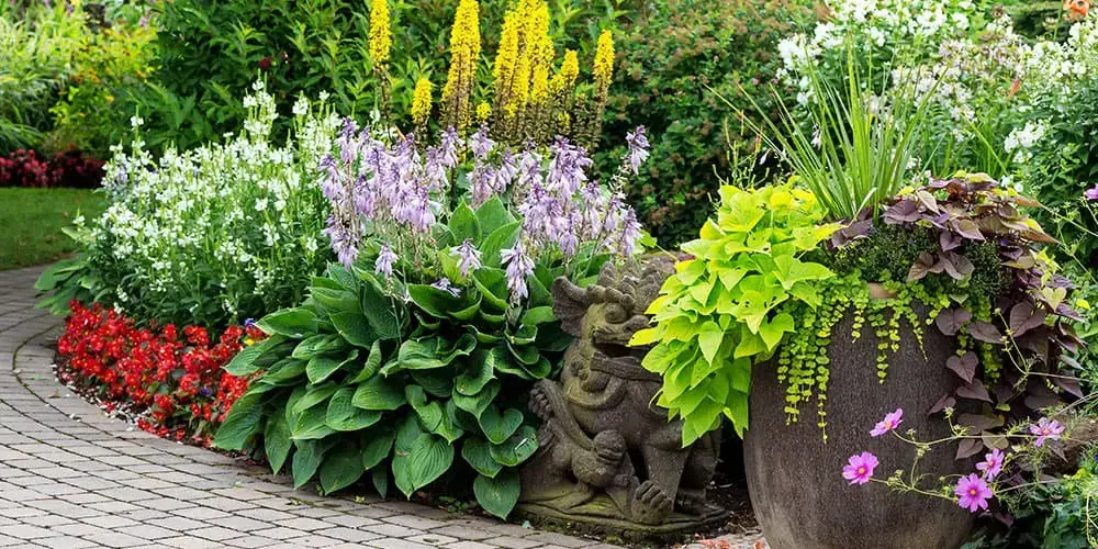 SL Garden Center-Moultonborough-Creative Resolutions for Your Garden in 2023-healthy flowering garden