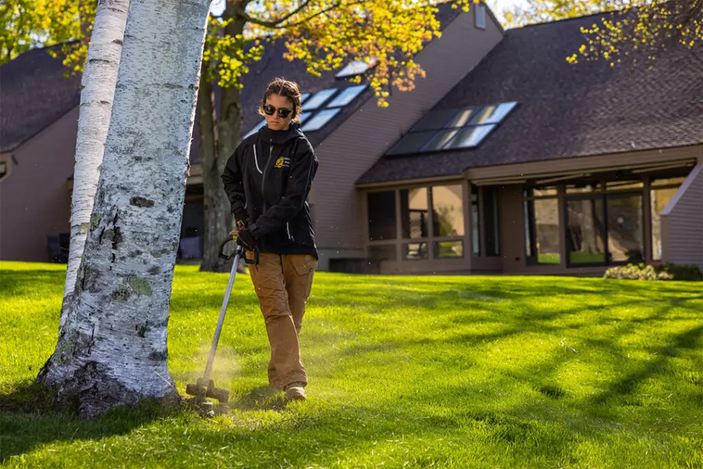 YardworkWeedingandMowing